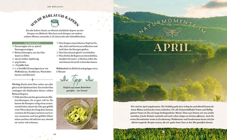 Produktbild: Zaubernuss und Waldmagie – Naturmomente für deine Seele