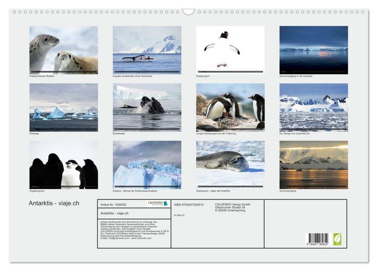 Produktbild: Antarktis - viaje.ch (Wandkalender 2026 DIN A2 quer), CALVENDO Monatskalender
