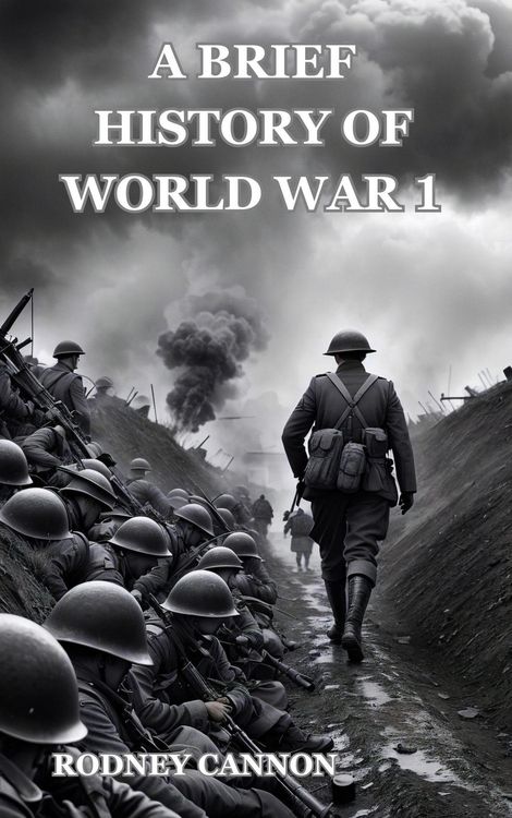 Produktbild: A Brief History of World War 1