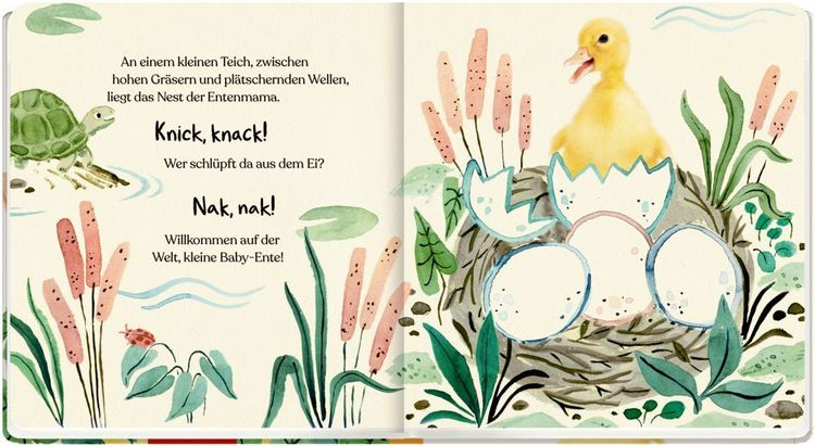 Produktbild: Meine erste Tierbaby-Geschichte: Kleine Ente