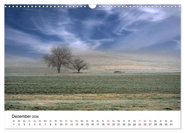 Produktbild: B&auml;ume - Wunder der Natur (Wandkalender 2026 DIN A3 quer), CALVENDO Monatskalender