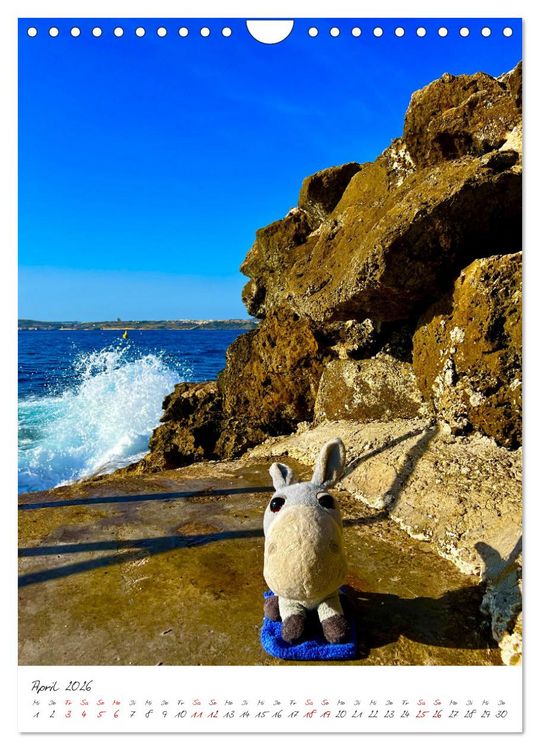 Produktbild: Schorschi auf Reisen ein kleiner Esel unterwegs auf der Insel Malta (Wandkalender 2026 DIN A4 hoch), CALVENDO Monatskalender
