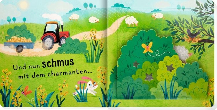 Produktbild: Wer kitzelt das Schwein? (F&uuml;hlen&begreifen)