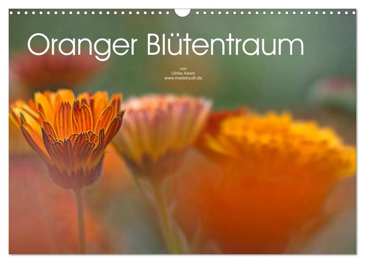 Produktbild: Oranger Bl&uuml;tentraum (Wandkalender 2026 DIN A3 quer), CALVENDO Monatskalender