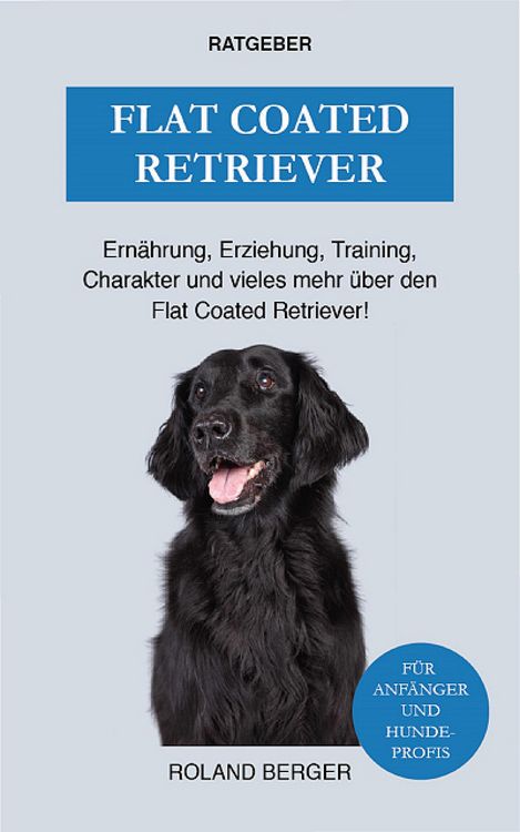 Produktbild: Flat Coated Retriever