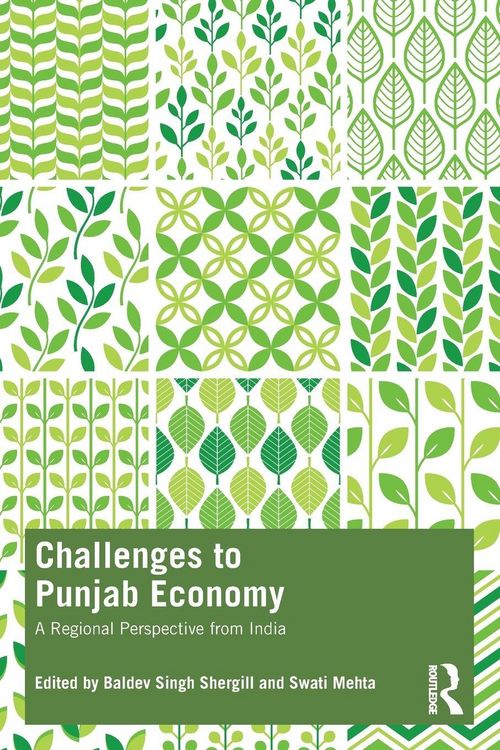 Produktbild: Challenges to Punjab Economy