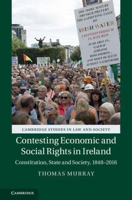 Produktbild: Contesting Economic and Social Rights in Ireland
