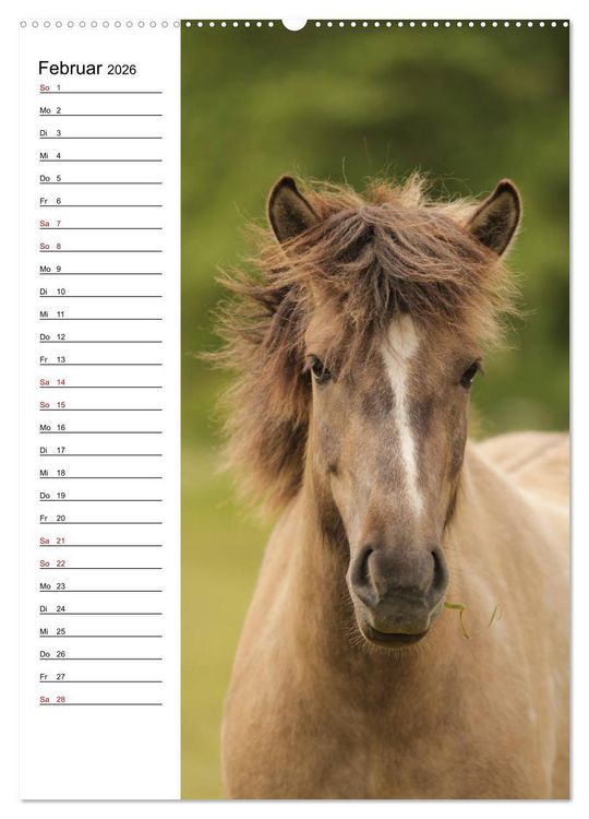 Produktbild: Isl&auml;nder im Portrait (hochwertiger Premium Wandkalender 2026 DIN A2 hoch), Kunstdruck in Hochglanz