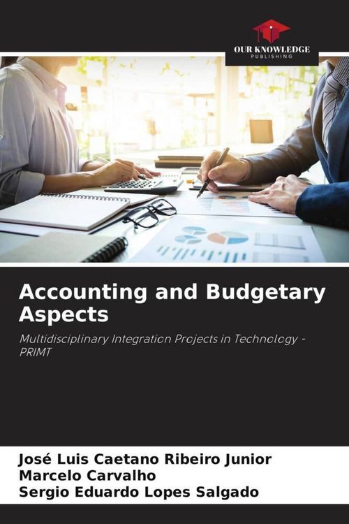 Produktbild: Accounting and Budgetary Aspects