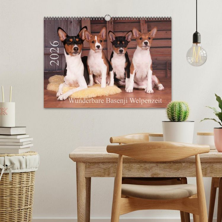 Produktbild: Wunderbare Basenji Welpenzeit (Wandkalender 2026 DIN A3 quer), CALVENDO Monatskalender