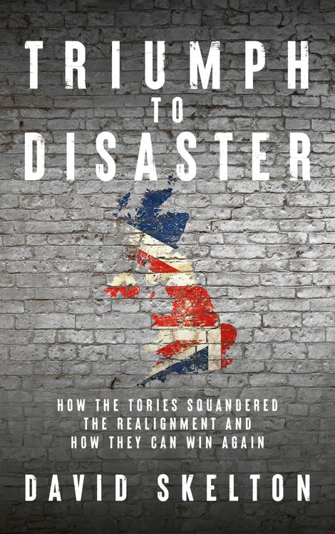 Produktbild: Triumph to Disaster