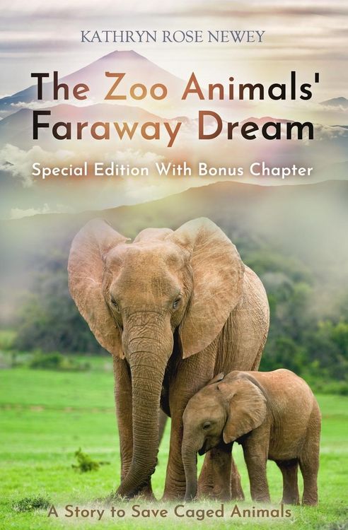 Produktbild: The Zoo Animals' Faraway Dream (Special Edition)