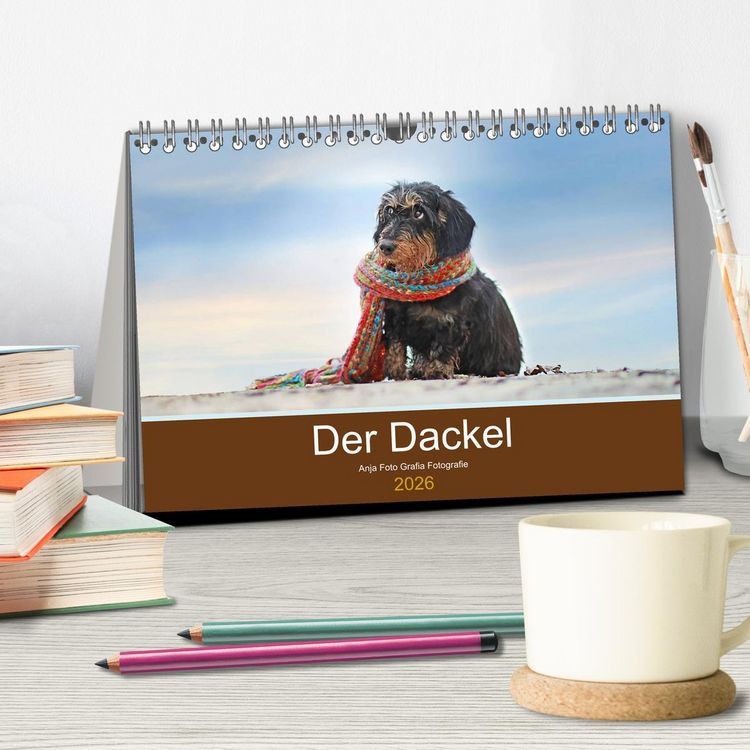 Produktbild: Der Dackel (Tischkalender 2026 DIN A5 quer), CALVENDO Monatskalender
