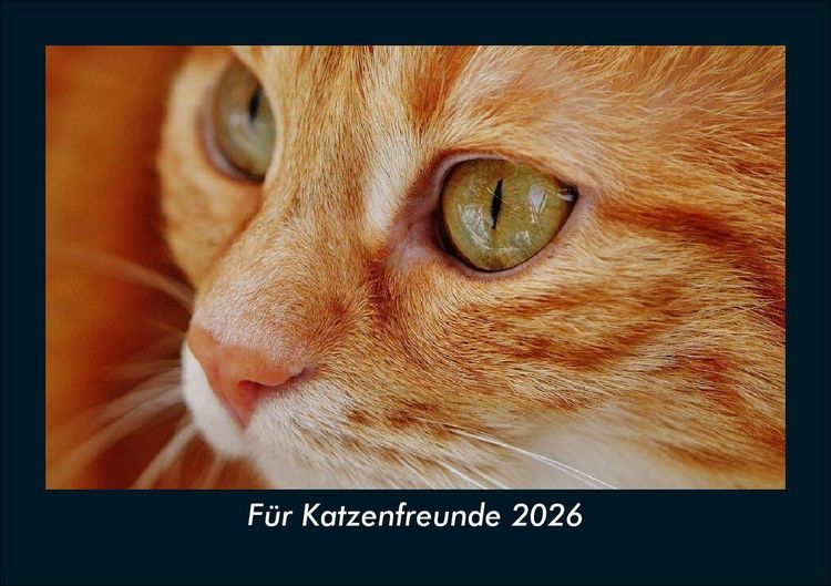 Produktbild: F&uuml;r Katzenfreunde 2026 Fotokalender DIN A5