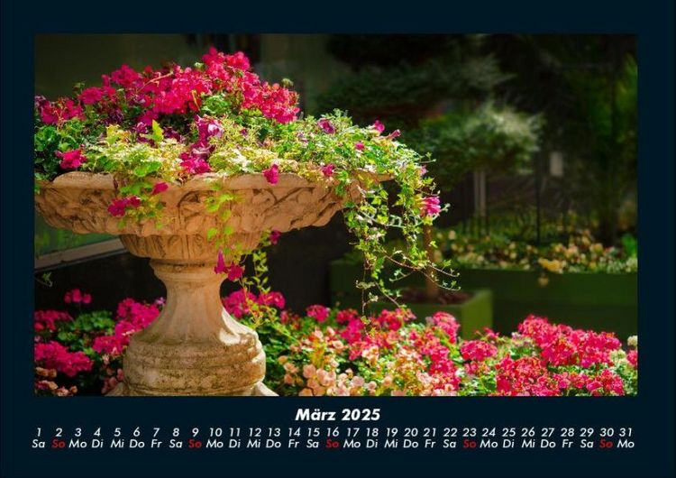 Produktbild: Blumentr&auml;ume 2025 Fotokalender DIN A4