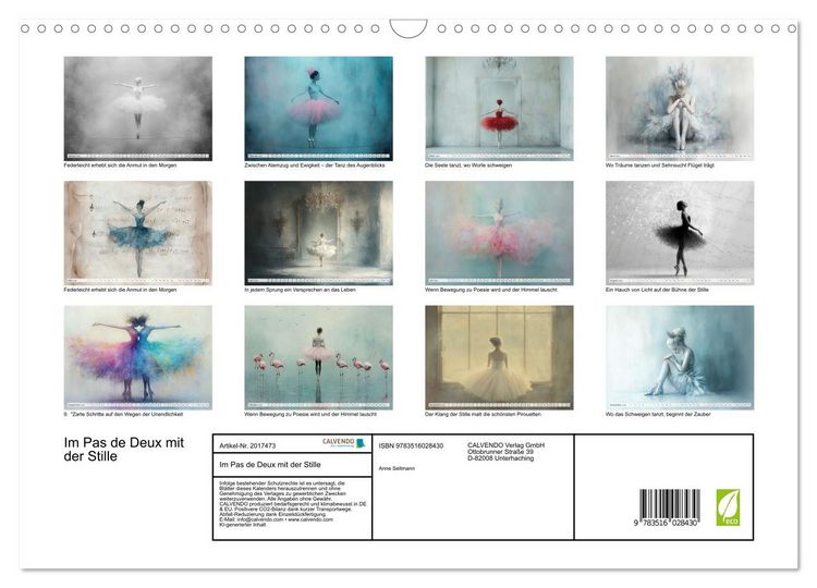 Produktbild: Im Pas de Deux mit der Stille (Wandkalender 2026 DIN A3 quer), CALVENDO Monatskalender