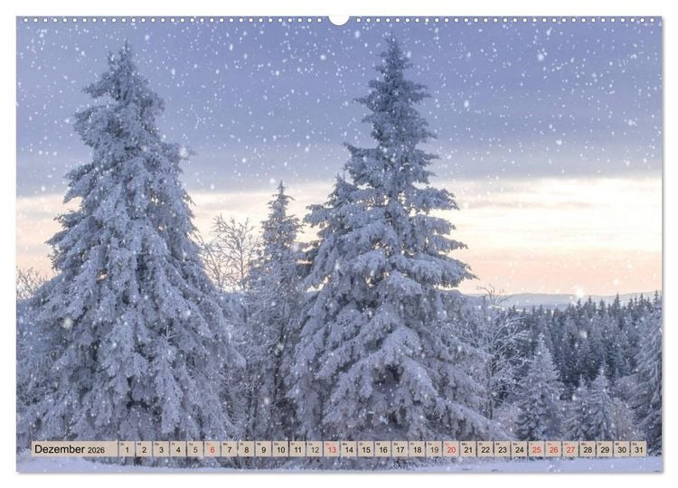 Produktbild: Leise durch den Wald. Sich Zeit nehmen und der Stille lauschen (Wandkalender 2026 DIN A2 quer), CALVENDO Monatskalender