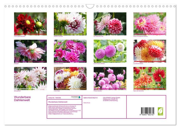 Produktbild: Wunderbare Dahlienwelt (Wandkalender 2026 DIN A3 quer), CALVENDO Monatskalender