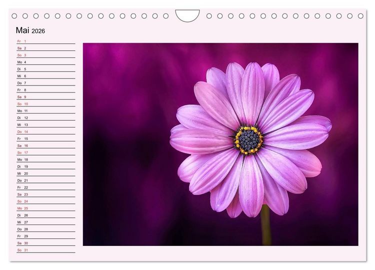 Produktbild: Lila - die mystische Farbe (Wandkalender 2026 DIN A4 quer), CALVENDO Monatskalender