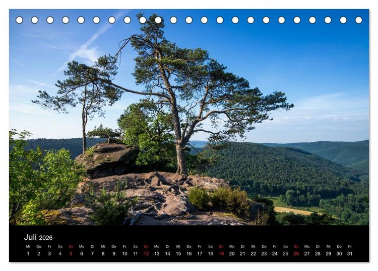 Produktbild: Mystischer Pf&auml;lzer Wald (Tischkalender 2026 DIN A5 quer), CALVENDO Monatskalender