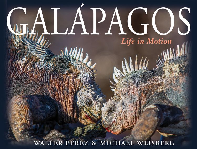 Produktbild: Gal&aacute;pagos