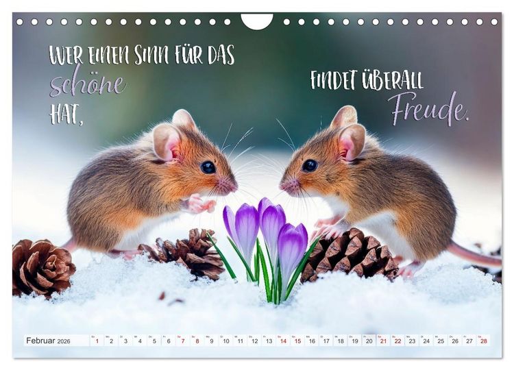 Produktbild: Ein tierisch gutes Jahr (Wandkalender 2026 DIN A4 quer), CALVENDO Monatskalender