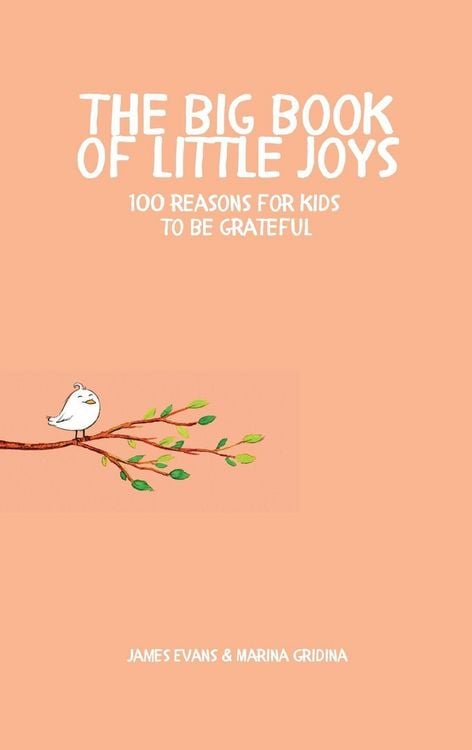Produktbild: The Big Book of Little Joys