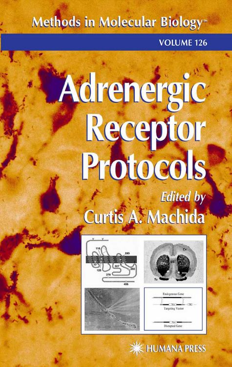Produktbild: Adrenergic Receptor Protocols