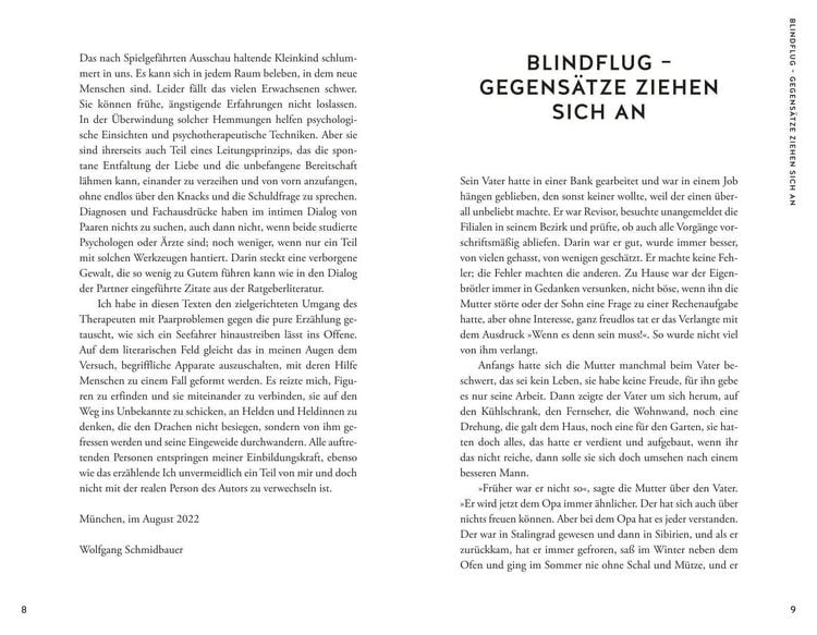 Produktbild: Die schnelle und die langsame Liebe