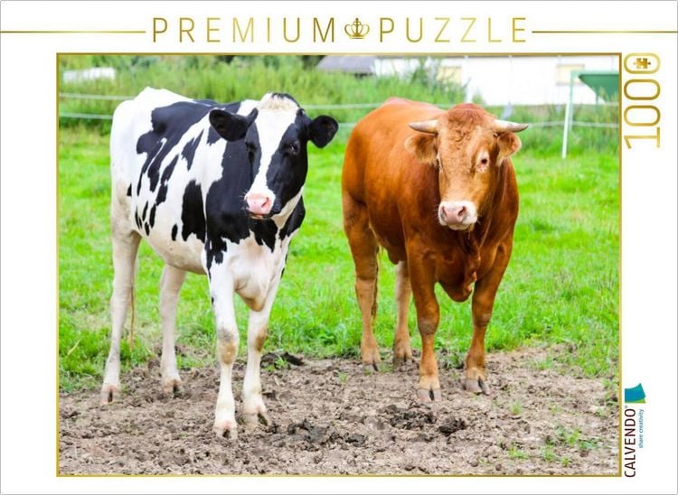 Produktbild: CALVENDO Puzzle Limousin-Bulle Silas mit Frau | 1000 Teile Lege-Gr&ouml;&szlig;e 64x48cm Foto-Puzzle f&uuml;r gl&uuml;ckliche Stunden