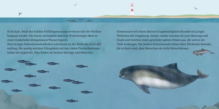 Produktbild: LESEMAUS 135: Der kleine Wal und das Meer
