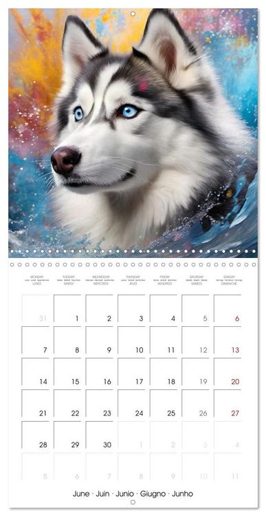 Produktbild: Colourful Splash Dogs (Wall Calendar 2027 12 &times; 12 Inch) CALVENDO 12 Month Wall Calendar
