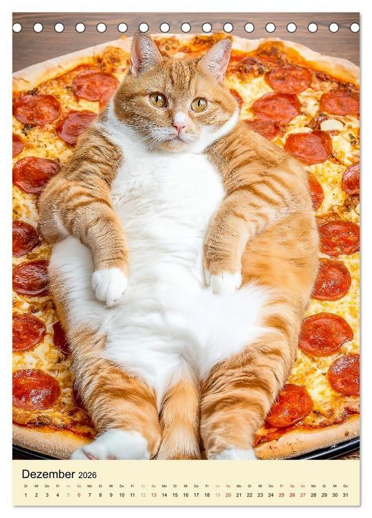 Produktbild: FETTE KATZEN - Foodporn auf vier Pfoten (Tischkalender 2026 DIN A5 hoch), CALVENDO Monatskalender