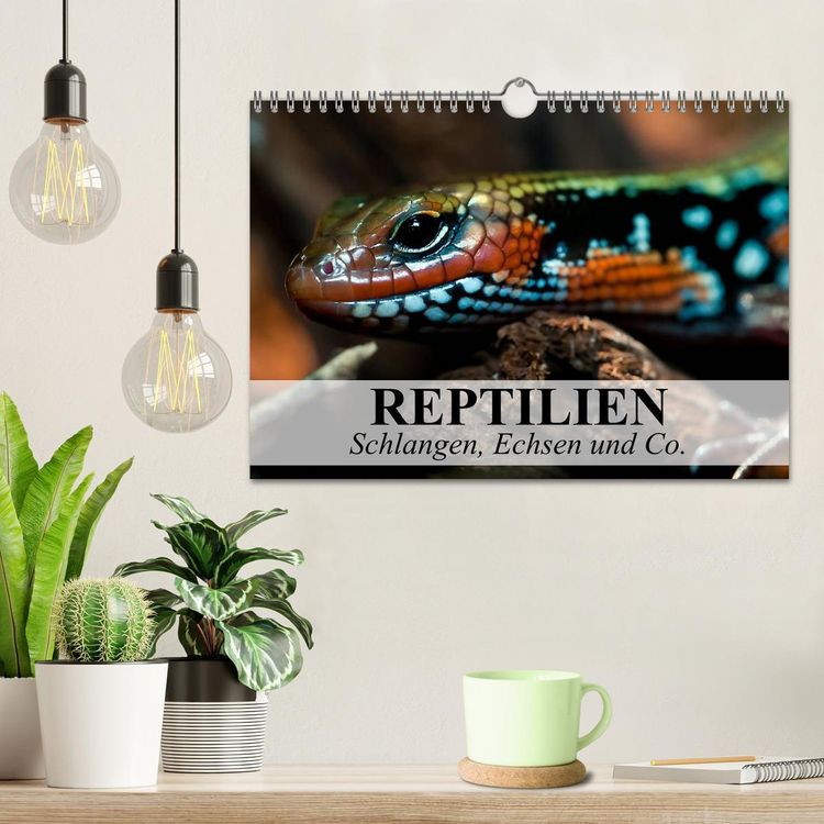 Produktbild: Reptilien Schlangen, Echsen und Co. (Wandkalender 2026 DIN A4 quer), CALVENDO Monatskalender
