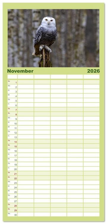 Produktbild: Familienplaner 2026 - Eulen - Fl&uuml;gel der Nacht mit 5 Spalten (Wandkalender, 21 x 45 cm) CALVENDO