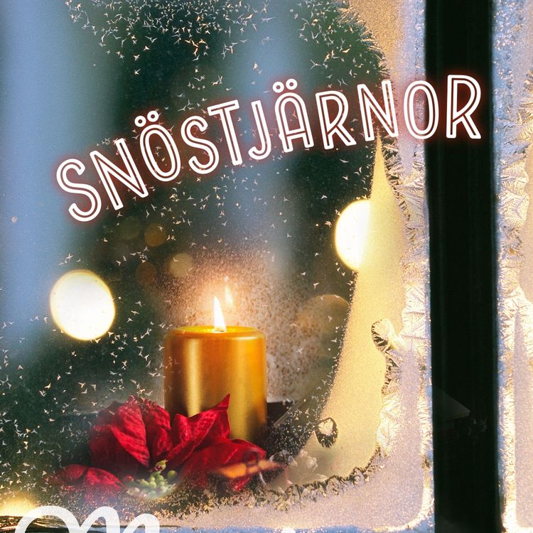 Produktbild: Sn&ouml;stj&auml;rnor