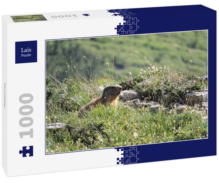 Produktbild: Lais Puzzle Murmeltier 1000 Teile