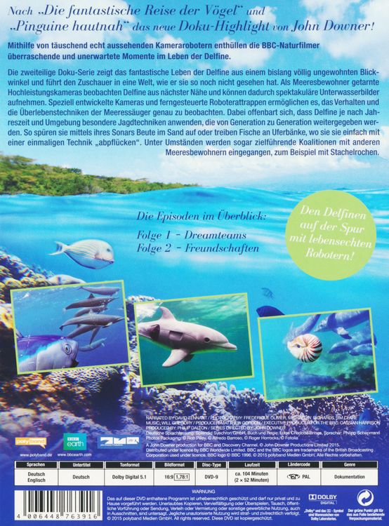 Produktbild: Delfine hautnah