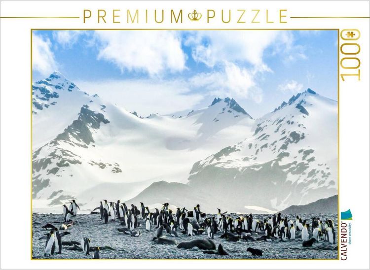 Produktbild: CALVENDO Puzzle Pinguin Kolonie im Naturparadies Antarktis | 1000 Teile Lege-Gr&ouml;&szlig;e 64x48cm Foto-Puzzle f&uuml;r gl&uuml;ckliche Stunden
