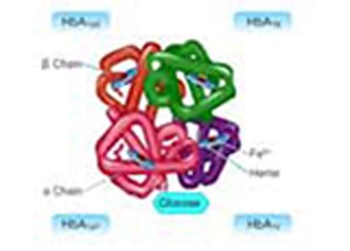 Produktbild: To Study about Glycated Haemoglobin and its Estimation