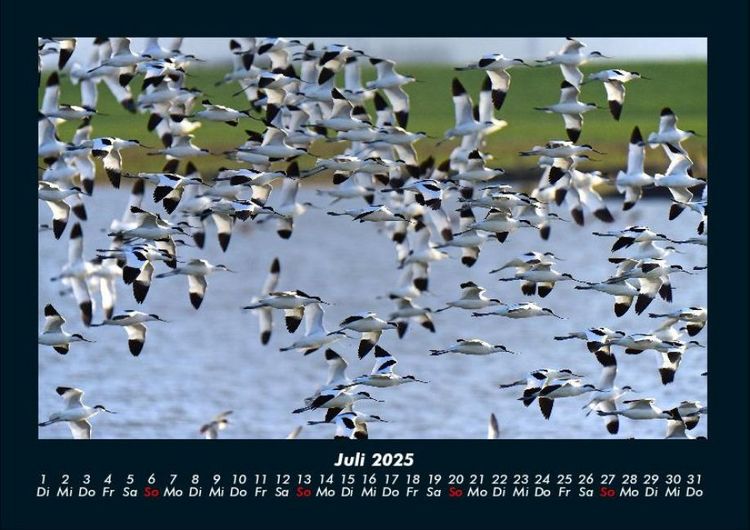 Produktbild: Nordsee 2025 Fotokalender DIN A4