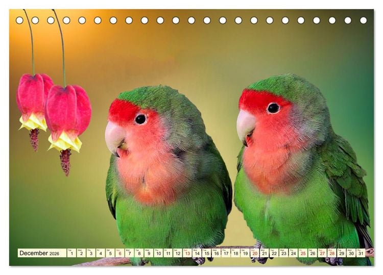 Produktbild: Africa's diverse birdlife (Desk Calendar 2026 DIN A5 landscape), CALVENDO 12 Month DeskCalendar