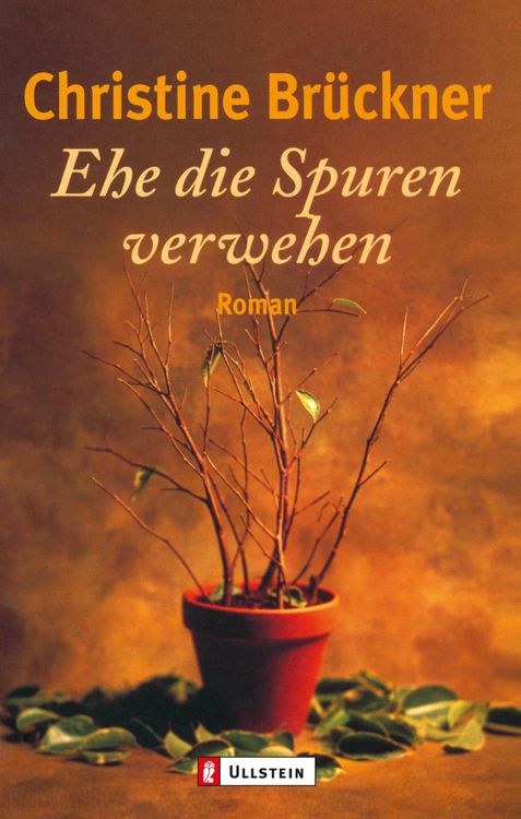 Produktbild: Ehe die Spuren verwehen