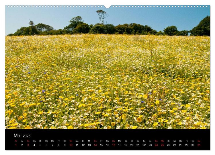 Produktbild: Magisches Cornwall (Wandkalender 2026 DIN A2 quer), CALVENDO Monatskalender