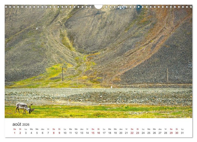 Produktbild: L'&eacute;t&eacute; sur les &icirc;les Svalbard (Calendrier mural 2026 DIN A3 vertical), CALVENDO calendrier mensuel