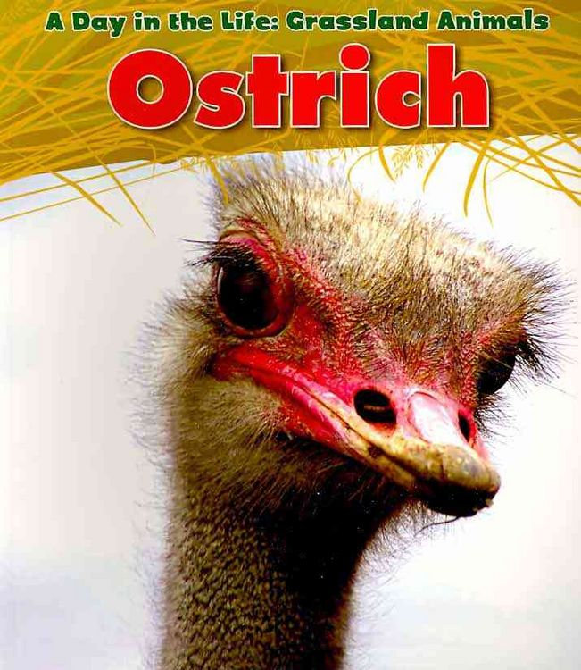 Produktbild: Ostrich