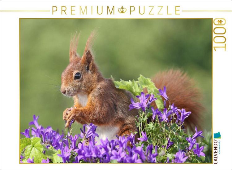 Produktbild: CALVENDO Puzzle Ein Motiv aus dem Kalender Besondere Augenblicke mit Eichh&ouml;rnchen | 1000 Teile Lege-Gr&ouml;&szlig;e 64x48cm Foto-Puzzle f&uuml;r gl&uuml;ckliche Stunden