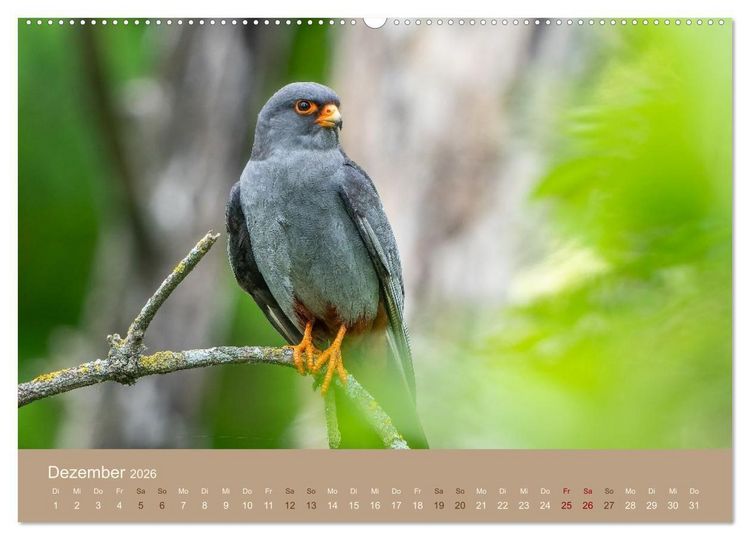 Produktbild: Jenseits der Z&auml;une (hochwertiger Premium Wandkalender 2026 DIN A2 quer), Kunstdruck in Hochglanz