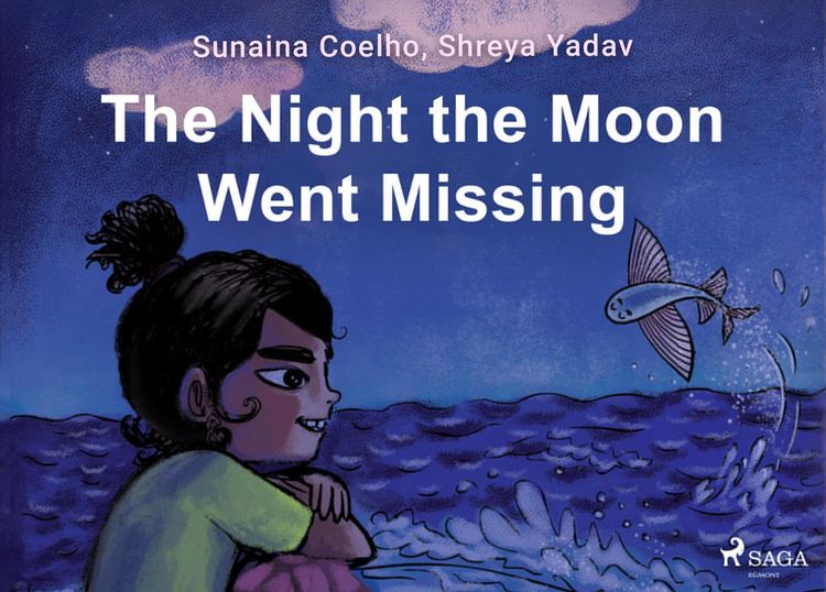 Produktbild: The Night the Moon Went Missing