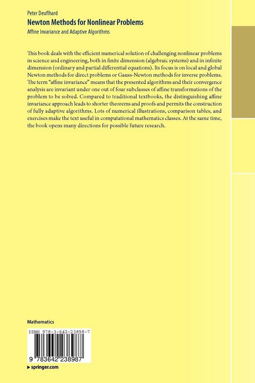 Produktbild: Newton Methods for Nonlinear Problems